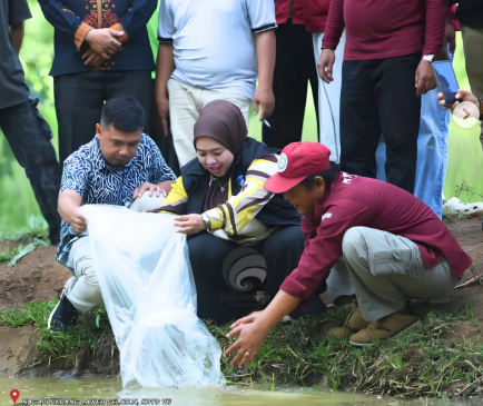 Blog single berita